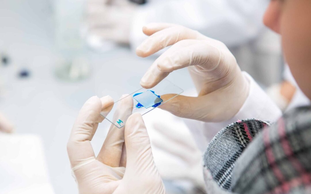 La investigación se multiplica